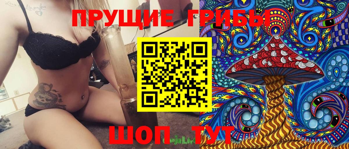 Великий Новгород  Псилоцибиновые грибы прущие грибы  Псилоцибиновые грибы Cubensis  Вход с VPN 